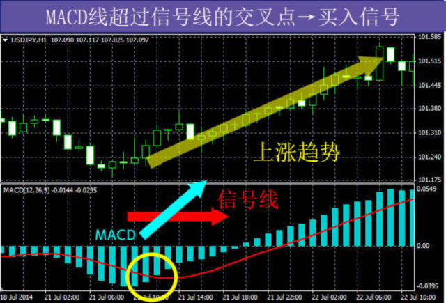 澳汇ausforex官网